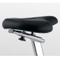   BH Fitness Artic