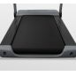      Carbon Fitness T320