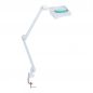 -   - 9002LED (9002LED-D)