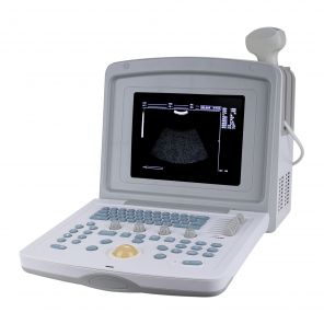 - CMS600B3