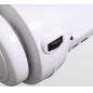    AppleGate Satellite B