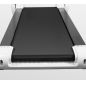    AppleGate Satellite B