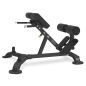  Bronze Gym BR-1010