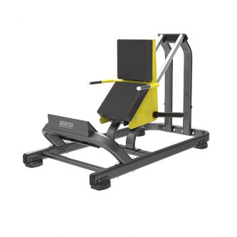 - Bronze Gym PL-1706
