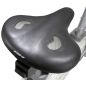  BH Fitness Nexor Dual