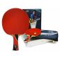     Double Fish 8-