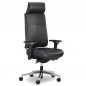   Falto Profi Trona 1702-41H