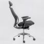    Falto TRIUM (TRI 11KALM-AL)  /