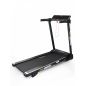    Start Line Fitness Sprint SLF 038400