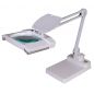     Levenhuk Zeno Lamp ZL23 LUM