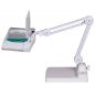     Levenhuk Zeno Lamp ZL23 LUM