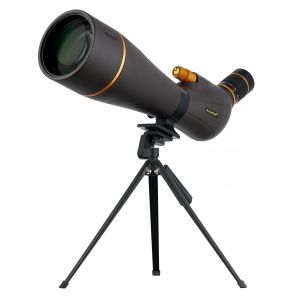   Blaze Pro 100