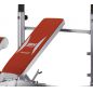     BH Fitness Optima ress