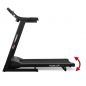   Carbon Fitness T506 UP