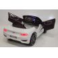  RiverToys Bentley EXP12 