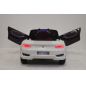 RiverToys Bentley EXP12 