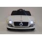  RiverToys Bentley EXP12 
