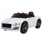  RiverToys Bentley EXP12 