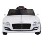  RiverToys Bentley EXP12 