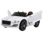  RiverToys Bentley EXP12 