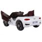  RiverToys Bentley EXP12 