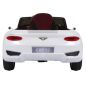  RiverToys Bentley EXP12 