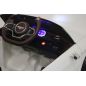  RiverToys Bentley EXP12 