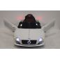  RiverToys Bentley EXP12 