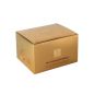     Beauty Style  Gold 50 