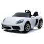  RiverToys Porshe Cayman T911TT 