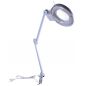 -   Levenhuk Zeno Lamp ZL11 LUM