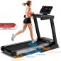    Ammity Fashion FTM 5118 AC