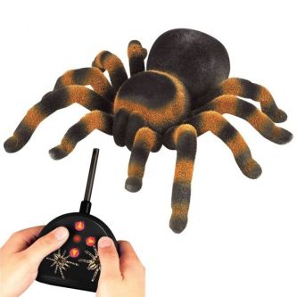 - Edu-Toys EL150