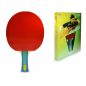     Double Fish 2-