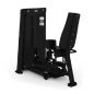 /  Bronze Gym NEO 25