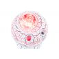    Levenhuk LabZZ SP10 White Pearl