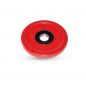   MB Barbell -, , 5 