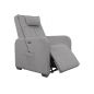      Fujimo Lift Chair F3005 FLFL