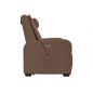      Fujimo Lift Chair F3005 FLFL