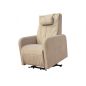     Fujimo Lift Chair F3005 FLWK