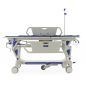   - (YQC-2R) KatB-31210R