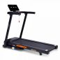    Svensson Body Labs Balance B