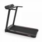    Carbon Fitness T330