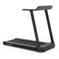    Carbon Fitness T330