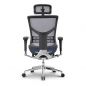   Falto Expert Star HSTM 01  
