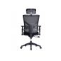   Falto Expert Star Office  