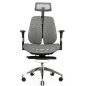       Falto Bionic Footrest Combi