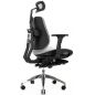        Falto Bionic Footrest Combi