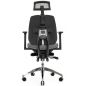        Falto Bionic Footrest Combi
