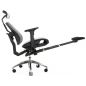        Falto Bionic Footrest Combi